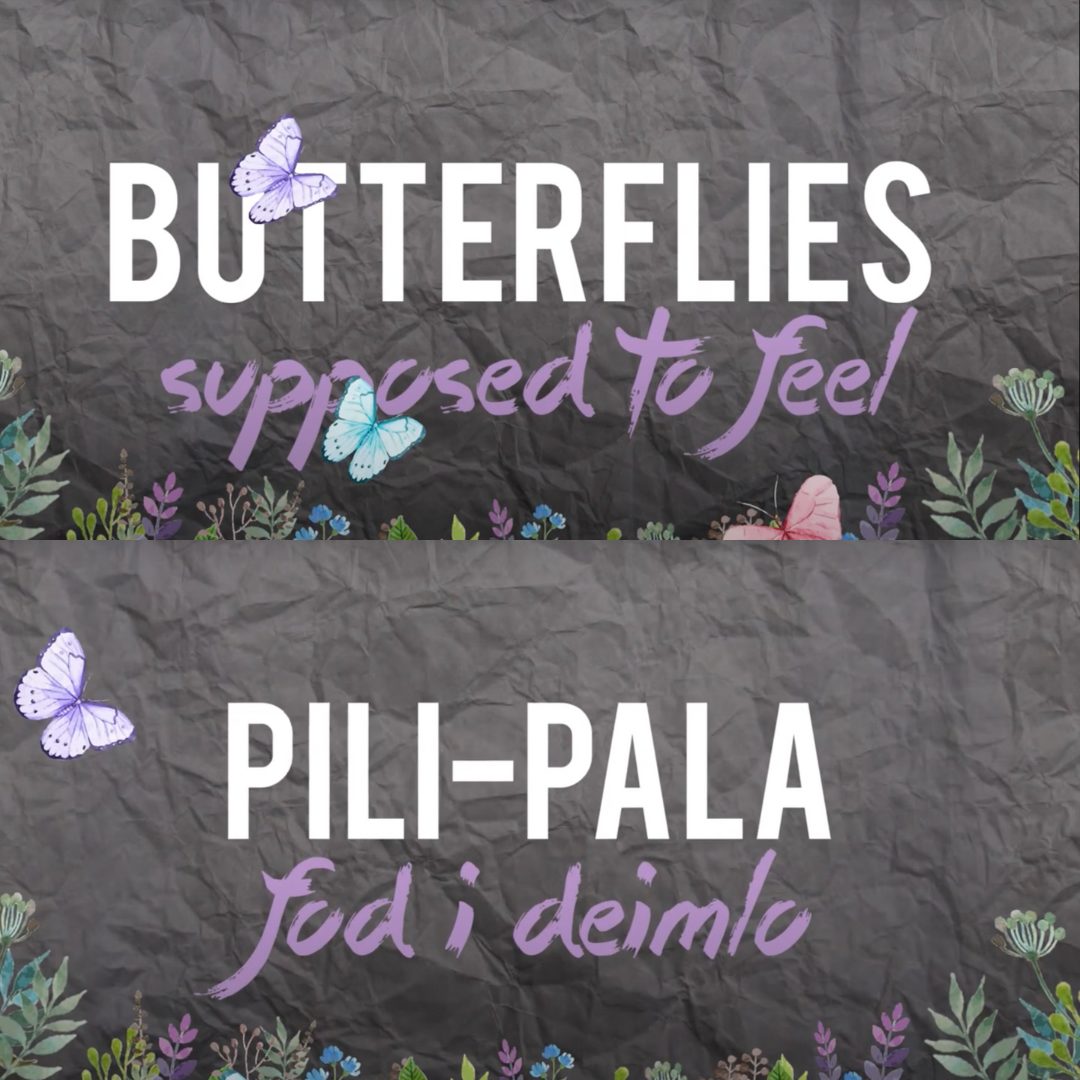 Screenshot from the Butterflies Video