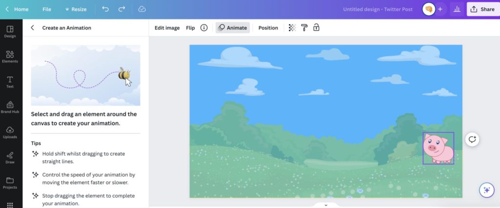 Screenshot of Canva Animate tool