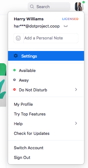 This is an image of the settings drop down option on Zoom