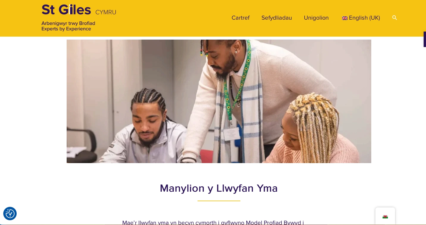 Sgrinlun o dudalen cartref y pecyn cymorth arbenigwyr trwy brofiad St Giles