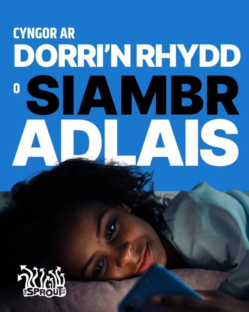 Delwedd o'r ymgyrch Gwirio Dy Ffrwd. Cefndir glas gyda merch ifanc yn gorwedd ar ei hochr yn edrych ar sgrin ei ffôn. Mae geiriau mawr uwchben ei phen yn dweud 'Cyngor ar dorri'n rhydd o  siambr adlais'.
